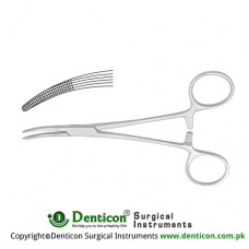 Halsted-Mosquito Haemostatic Forcep Straight Stainless Steel, 21 cm - 8 1/4"